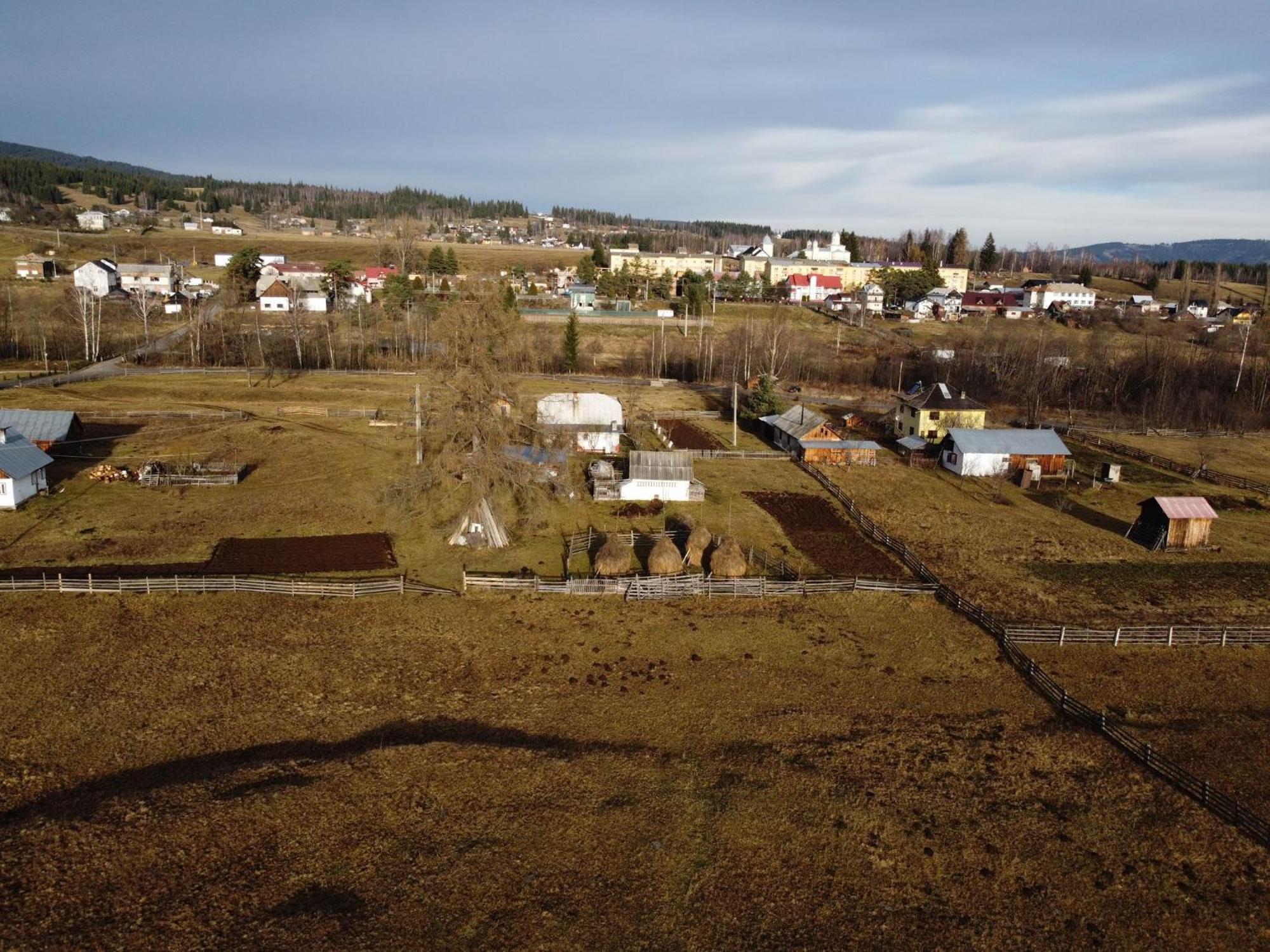 Vila Raisa Neagra Sarului Exteriér fotografie