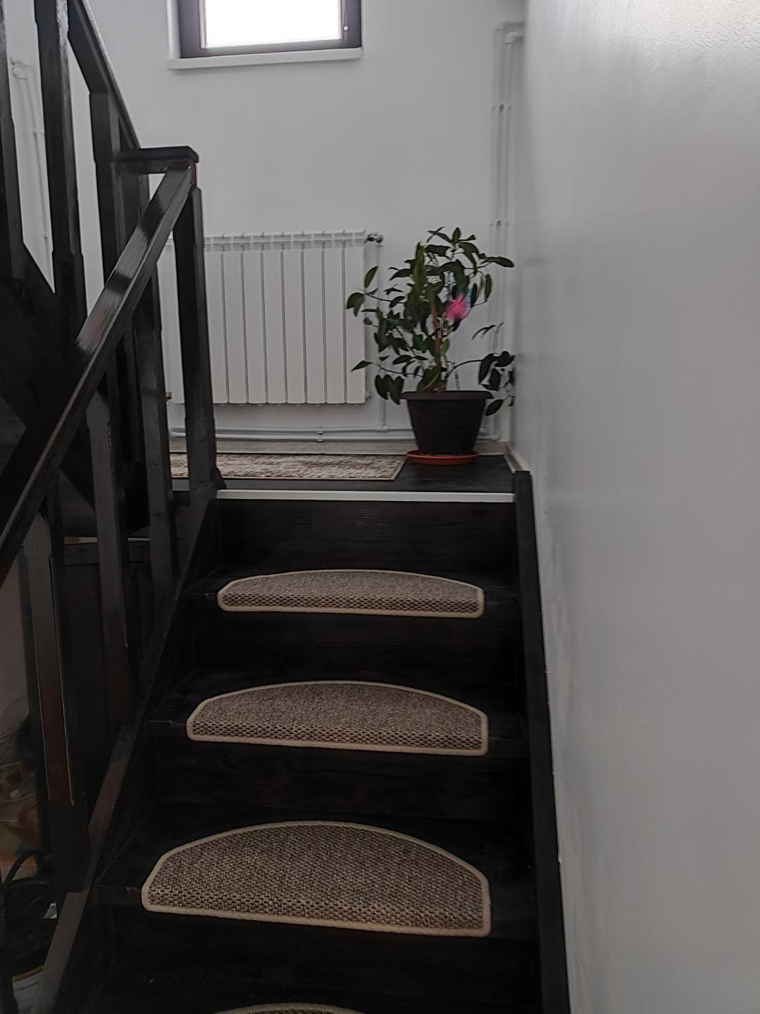 Vila Raisa Neagra Sarului Exteriér fotografie